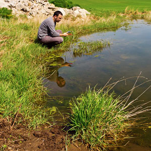 What’s Up With Sarasota’s Waters? thumbnail