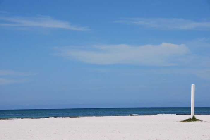 siesta key beach sarasota