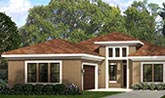 Monet Single Family Home in Sarasota