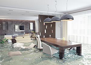 Flood insurance in Florida