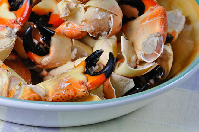 Stone Crab - A Floridian Delicacy